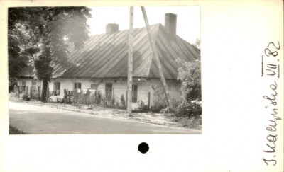 czworak, skan 2