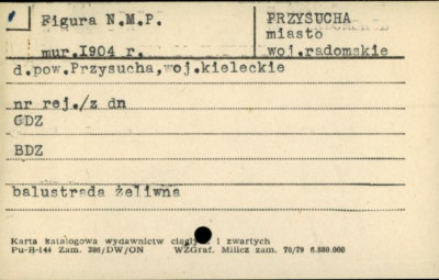 figura N.M.P., skan 1