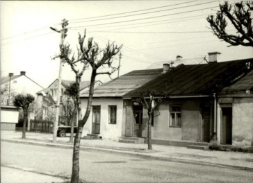 dom, skan 3