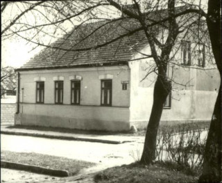 dom, skan 3