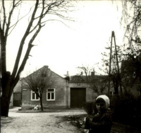 dom, skan 3