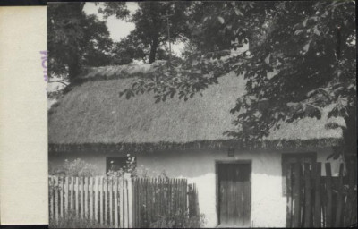 dom, skan 3