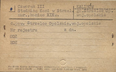 czworak III, skan 1