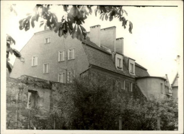 dom, skan 3