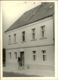 dom, skan 3