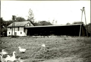 spichlerz dworski, skan 3