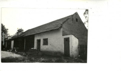 stajnia, skan 2