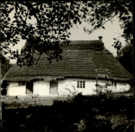 dom, skan 3