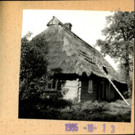 dom, skan 3