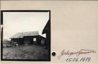 stajnia, skan 2