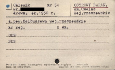 chlewik, skan 1