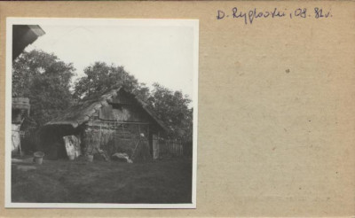 stajnia, skan 2