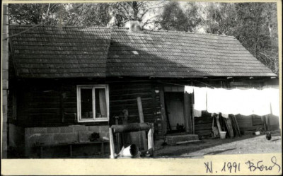 dom, skan 2