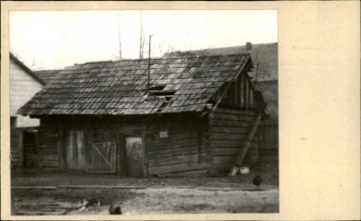 stajnia, skan 2