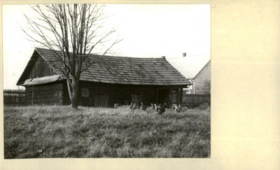 stajnia, skan 2