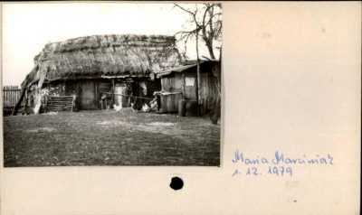 stajenka, skan 2