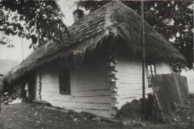 chałupa, skan 3
