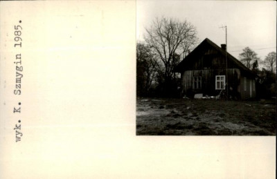 dom, skan 2