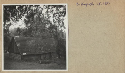 stodoła, skan 2