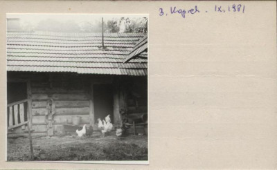 stajenka, skan 2