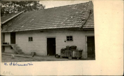 stajnia, skan 2