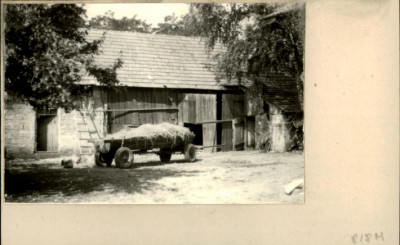 stodoła, stajnia, skan 2