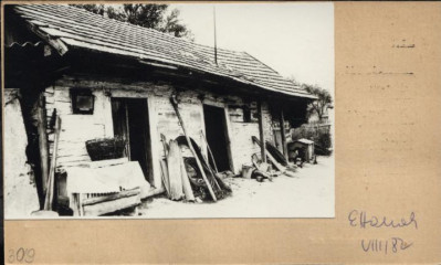 stajnia, skan 2