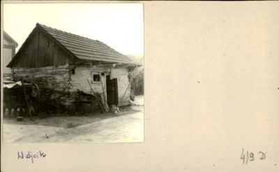 szopa, skan 2
