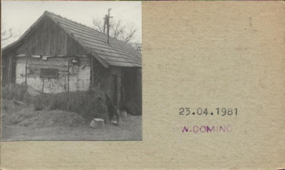 stajnia, skan 2