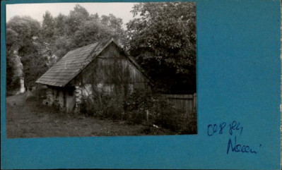 stajnia, skan 2