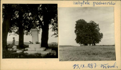 krzyż, skan 2