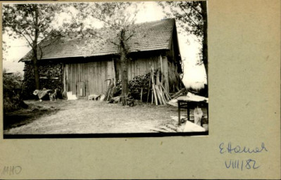 stodoła, skan 2