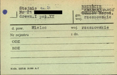 stajnia, skan 1