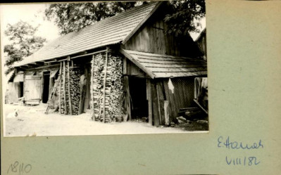 stajnia, skan 2