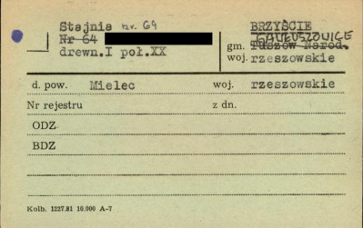 stajnia, skan 1