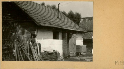 stajnia, skan 2
