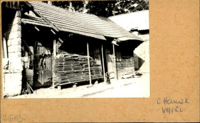 stajnia, skan 2