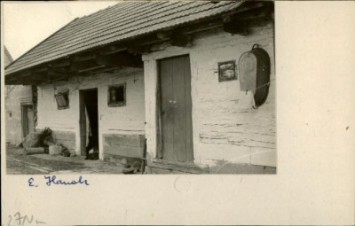 stajnia, skan 2