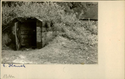 piwniczka, skan 2