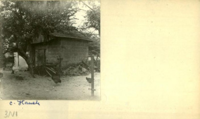 suszarnia, skan 2