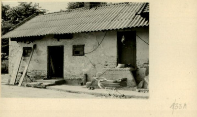 stajnia, skan 2