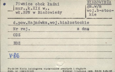 piwnice obok łaźni, skan 1