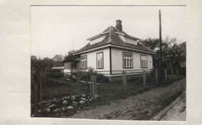 willa, skan 2