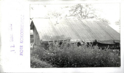 piwnica, skan 2