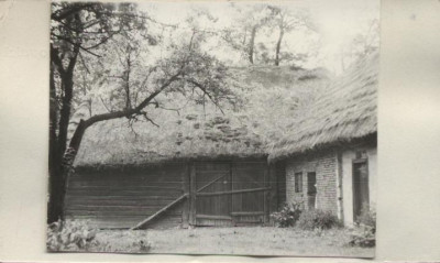 stodoła, skan 2