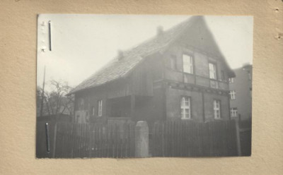 willa, skan 2