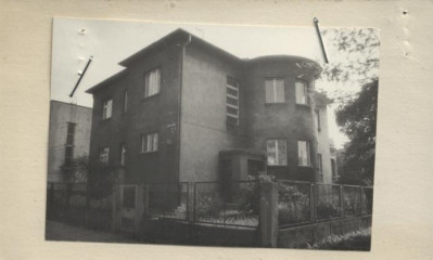willa, skan 2