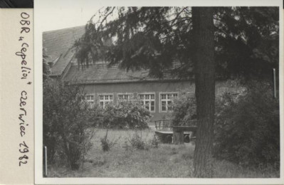 ujeżdżalnia, skan 2