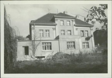 willa, skan 2