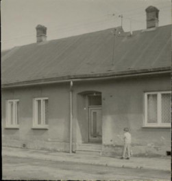 dom, skan 2